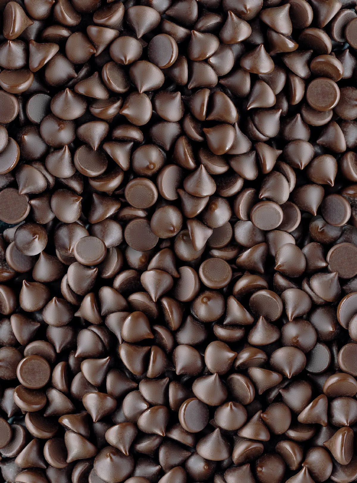 Shavelo - Bulk Mini Chips (10 lbs) - 55% Cacao Organic Vegan Semi-Sweet Dark Chocolate Chips (4000 ct)