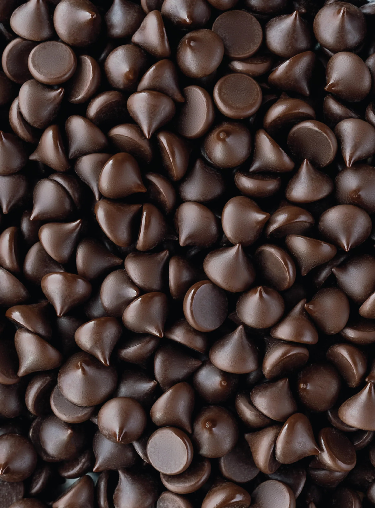 Shavelo - 70% Cacao Organic Vegan Bitter-Sweet Dark Chocolate Chips with Stevia (6 Bags)