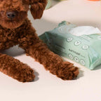 Shavelo - Pet Wipes