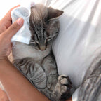 Shavelo - Pet Wipes