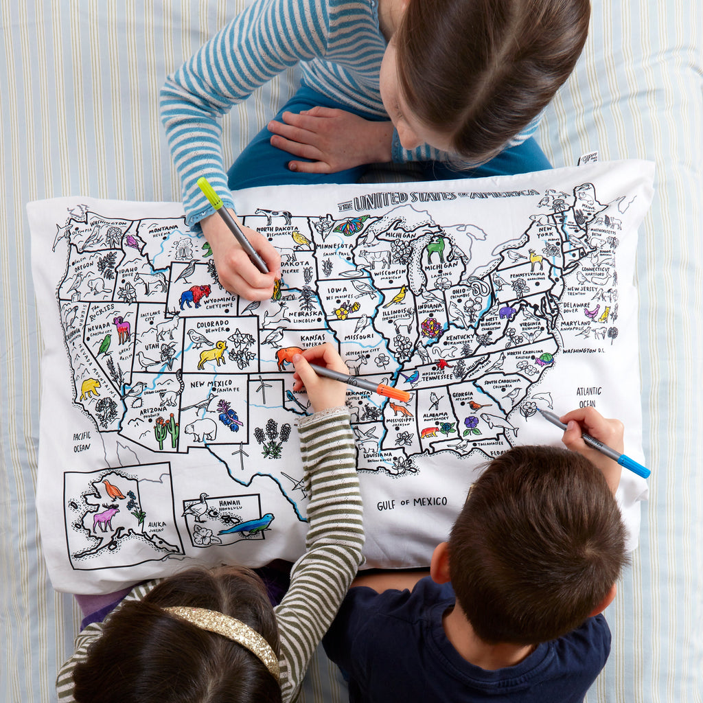 Kibakids - US map pillowcase